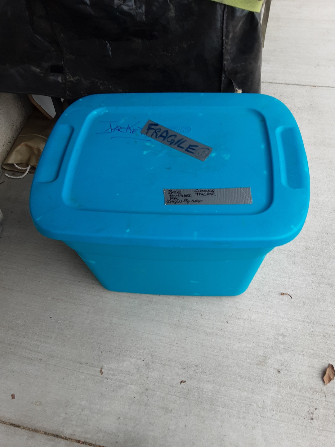 LARGE BLUE CONTAINER, GOOD CONDITION - 1 - 1732052139679_20241119_142921