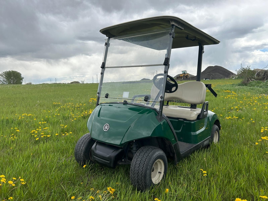 2018 Yamaha Drive 2 Electric Golf Cart - 2 - 1732131600878_EBIK8368