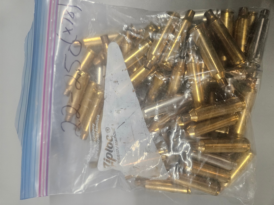 Reloading Brass  - 1 - 1732226648841_1000007285