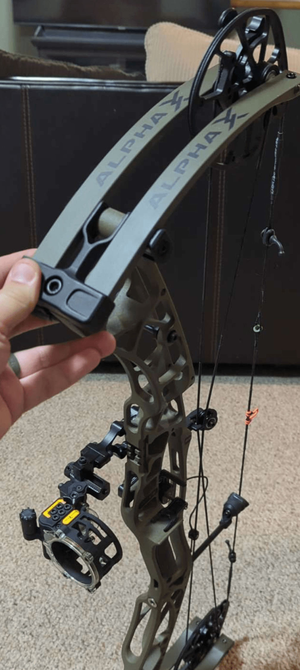 Hoyt Alpha X - 2 - 1734738194510_1000003023