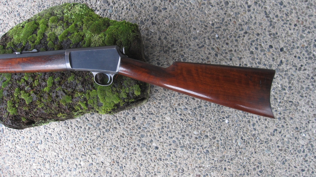 * Reduced * Winchester Model 1903 , Circa 1905 , Collector Grade - 6 - 1735932912656_IMG_2749