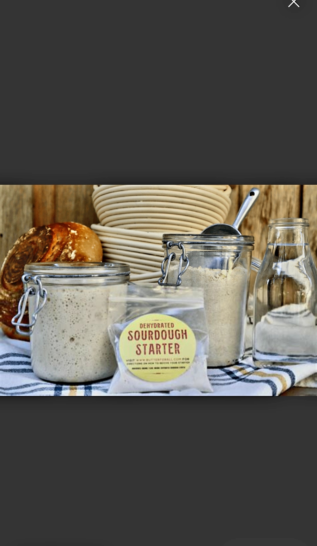 Sourdough starter (dehydrated) - 3 - 1737234412631_1000003421