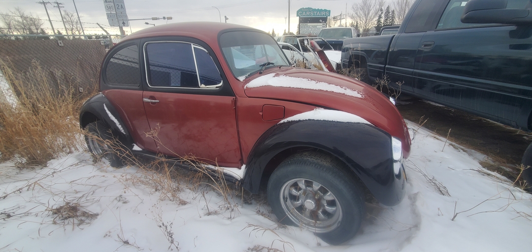 1976 VW Beetle - 4 - 1737577125590_20250121_123102