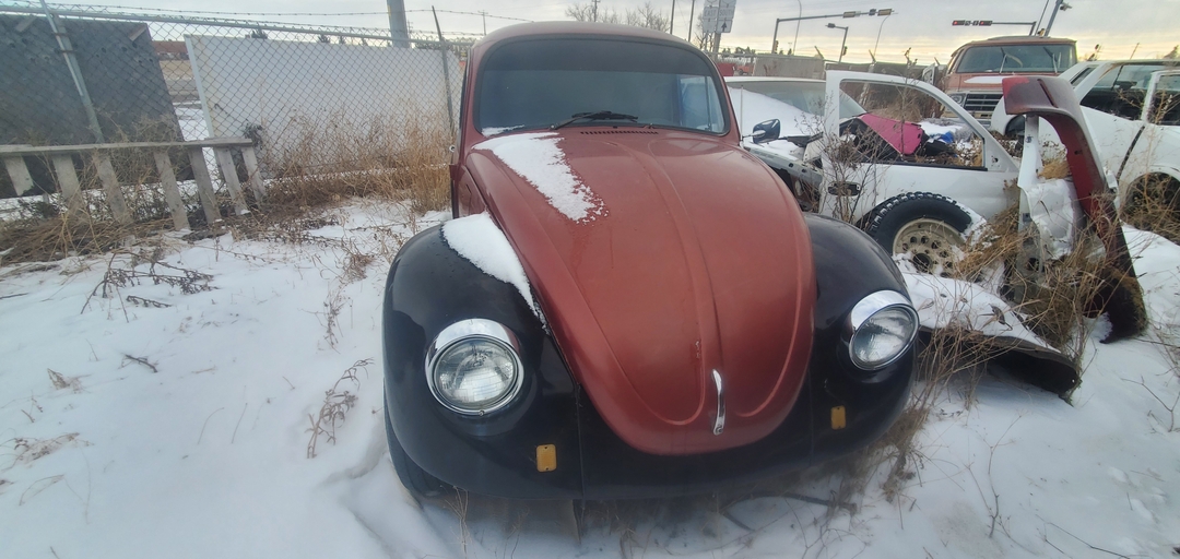 1976 VW Beetle - 3 - 1737577125590_20250121_123110