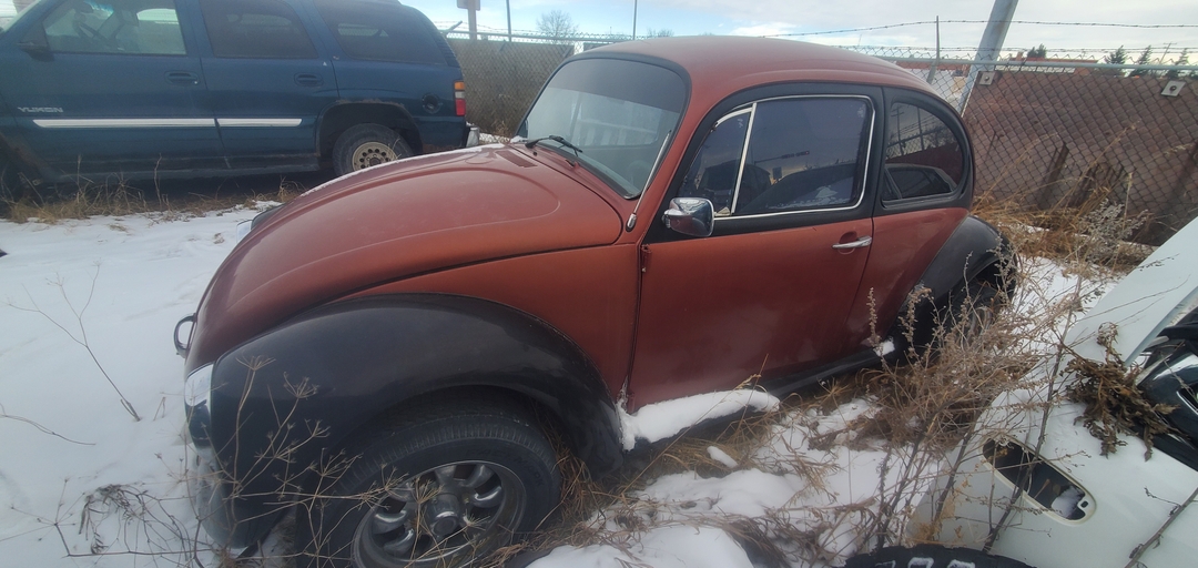 1976 VW Beetle - 2 - 1737577125590_20250121_123118