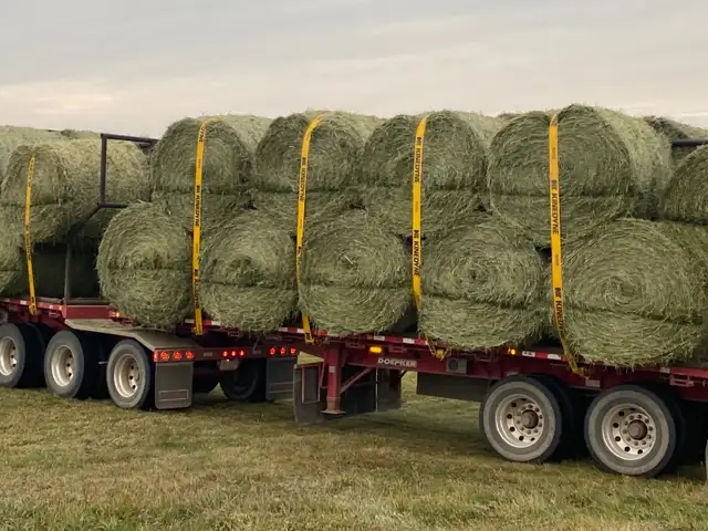 2024 Alfalfa/Grass Round Bales ($260 ton Delivered Price) - 4 - 1737588357635_rounds 3