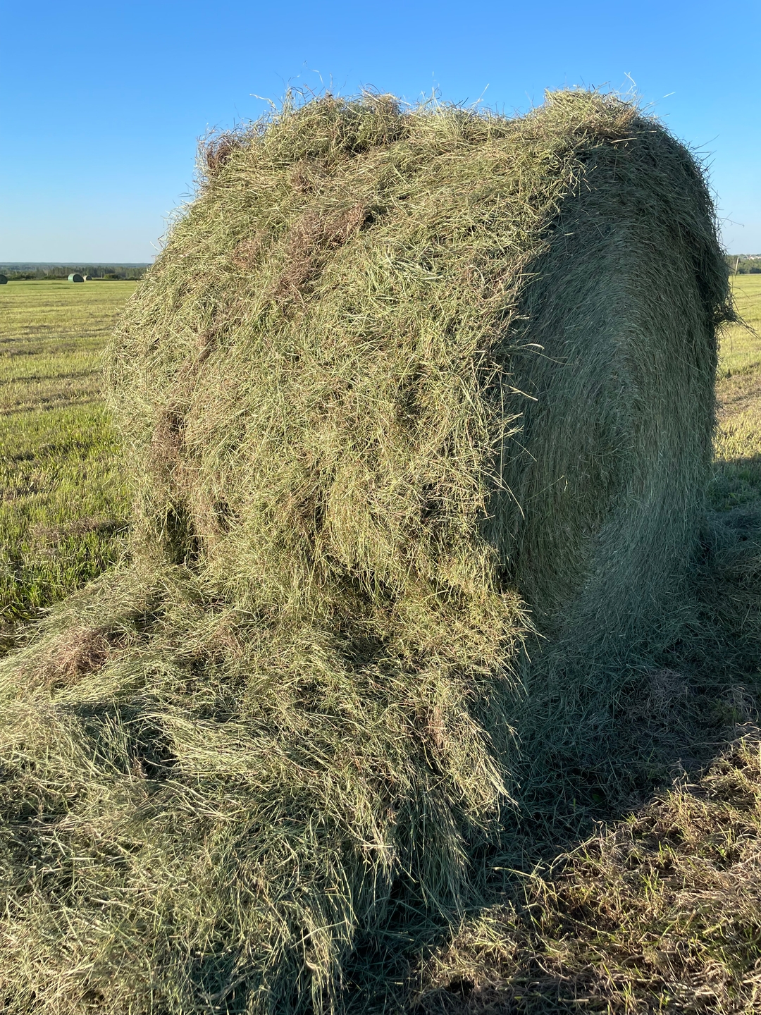 2024 Alfalfa/Grass Round Bales ($260 ton Delivered Price) - 6 - 1737588384929_rounds 8