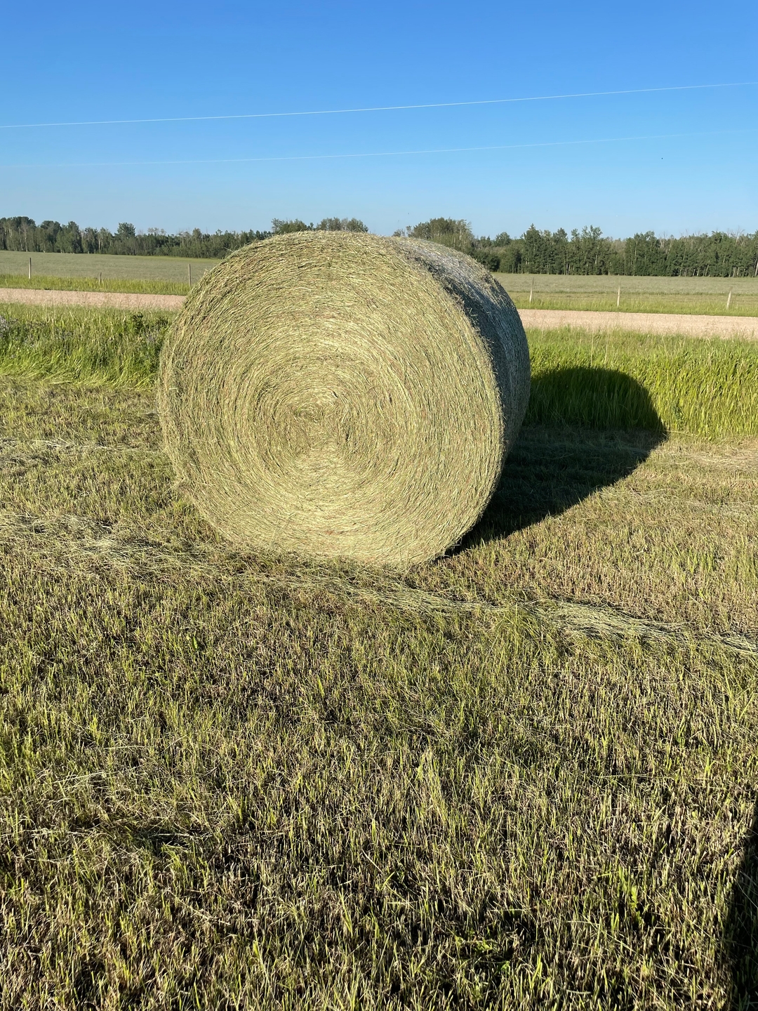 2024 Alfalfa/Grass Round Bales ($260 ton Delivered Price) - 7 - 1737588393005_rounds 7