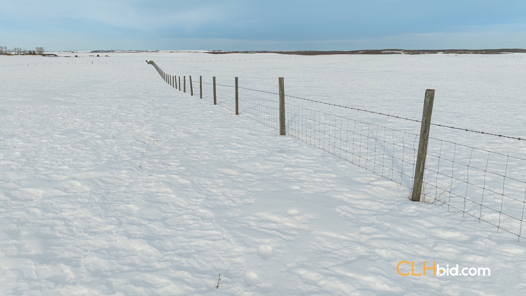 156 Acres Farm Land For Sale - Wainwright, AB - 4 - 1738132199839_Web-LarsonLegacy-10