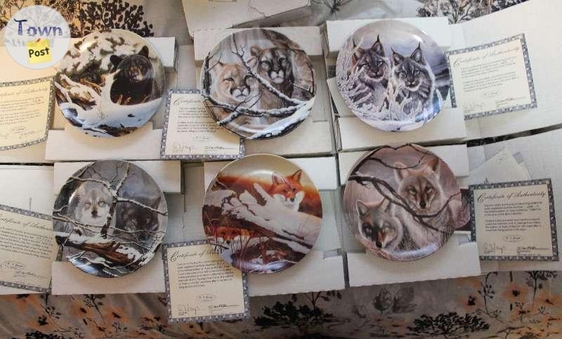 Collector Plates Bradford"Eyes of the Wild"Artist -Daniel Pierce - 2 - 660450-1643413873_0