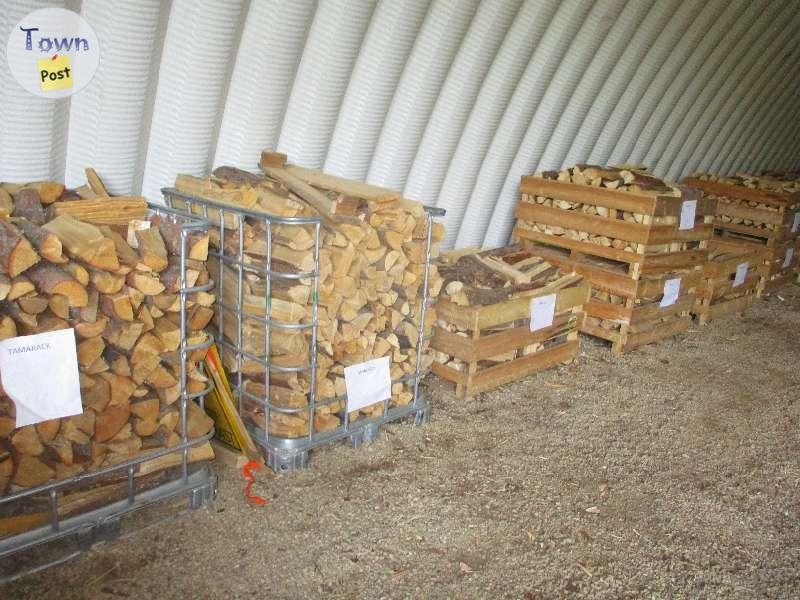 Seasoned Dry Split Firewood  - 1 - 369652-1654813433