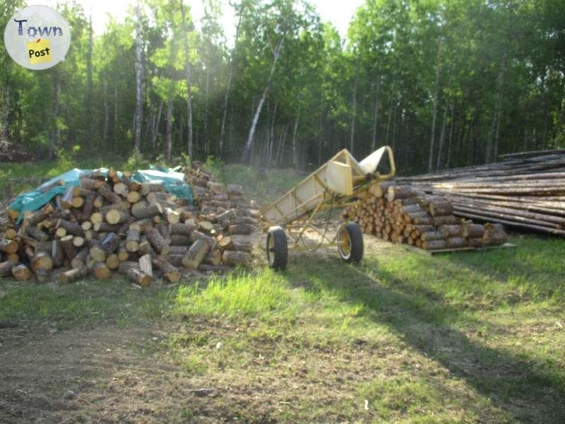 Seasoned Dry Split Firewood  - 5 - 369652-1654813433_2