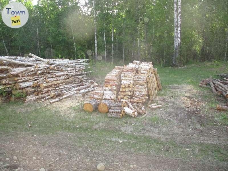 Seasoned Dry Split Firewood  - 6 - 369652-1654813433_3