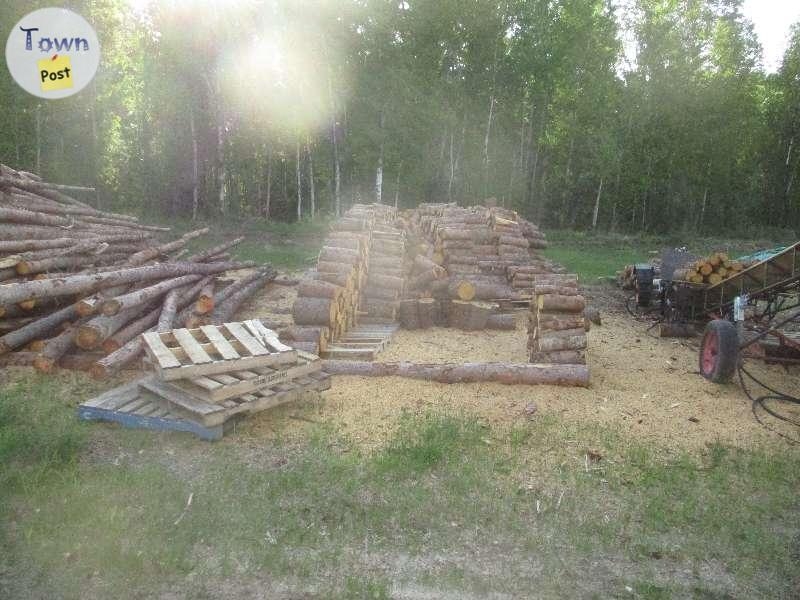 Seasoned Dry Split Firewood  - 7 - 369652-1654813433_4