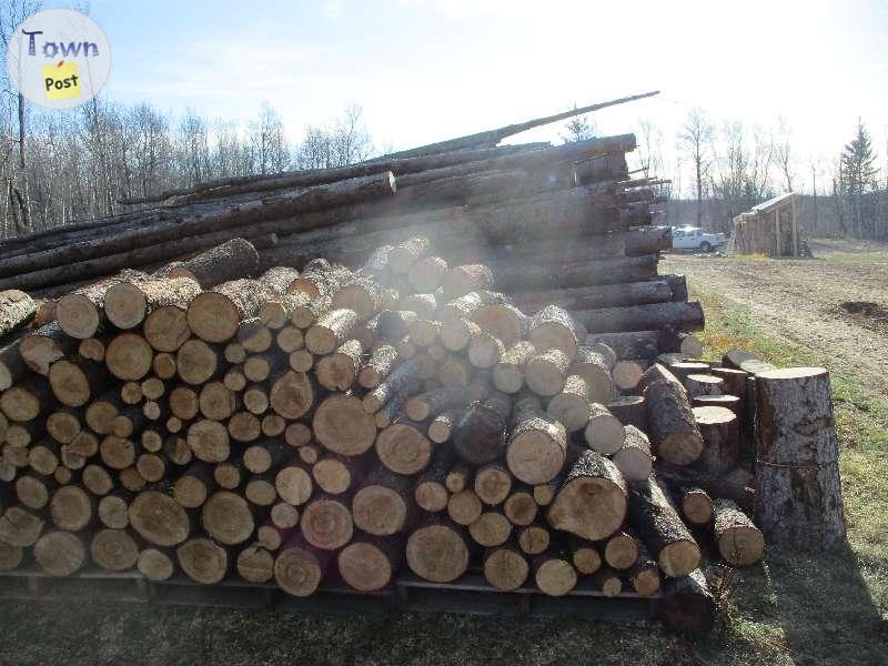 Seasoned Dry Split Firewood  - 8 - 369652-1667517433_0