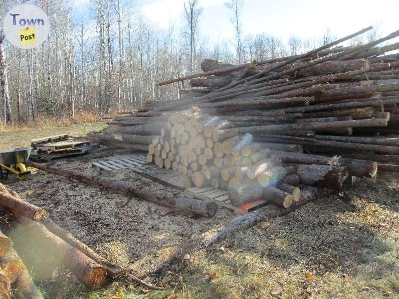 Seasoned Dry Split Firewood  - 9 - 369652-1667517433_1