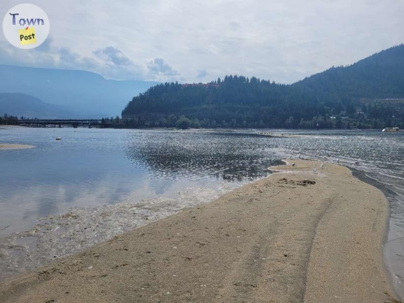 Sicamous Sands Lot 57 Waterfront Lake Lot For Sale - 7 - 889752-1681744259_6