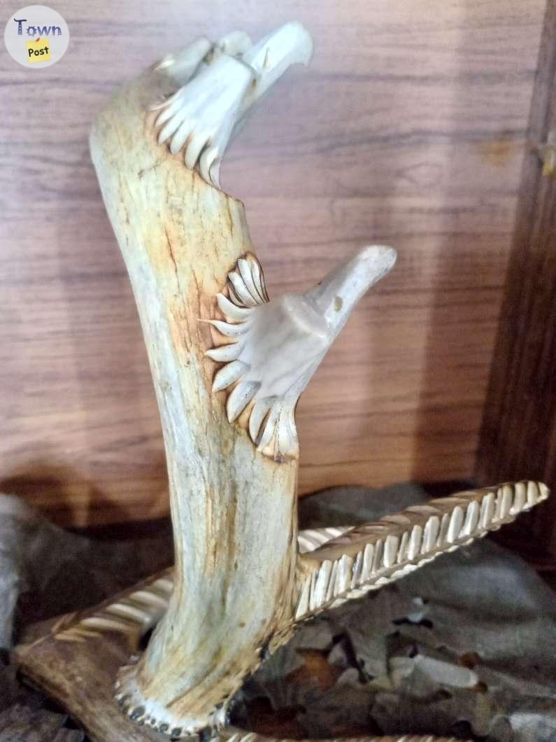 Antler Carving - 3 - 890031-1681778740_1