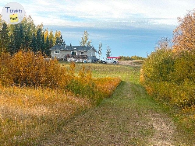 Looking for Acreage Rental near Thorsby, Calmar, Warburg area - 2 - 904306-1684777857_0