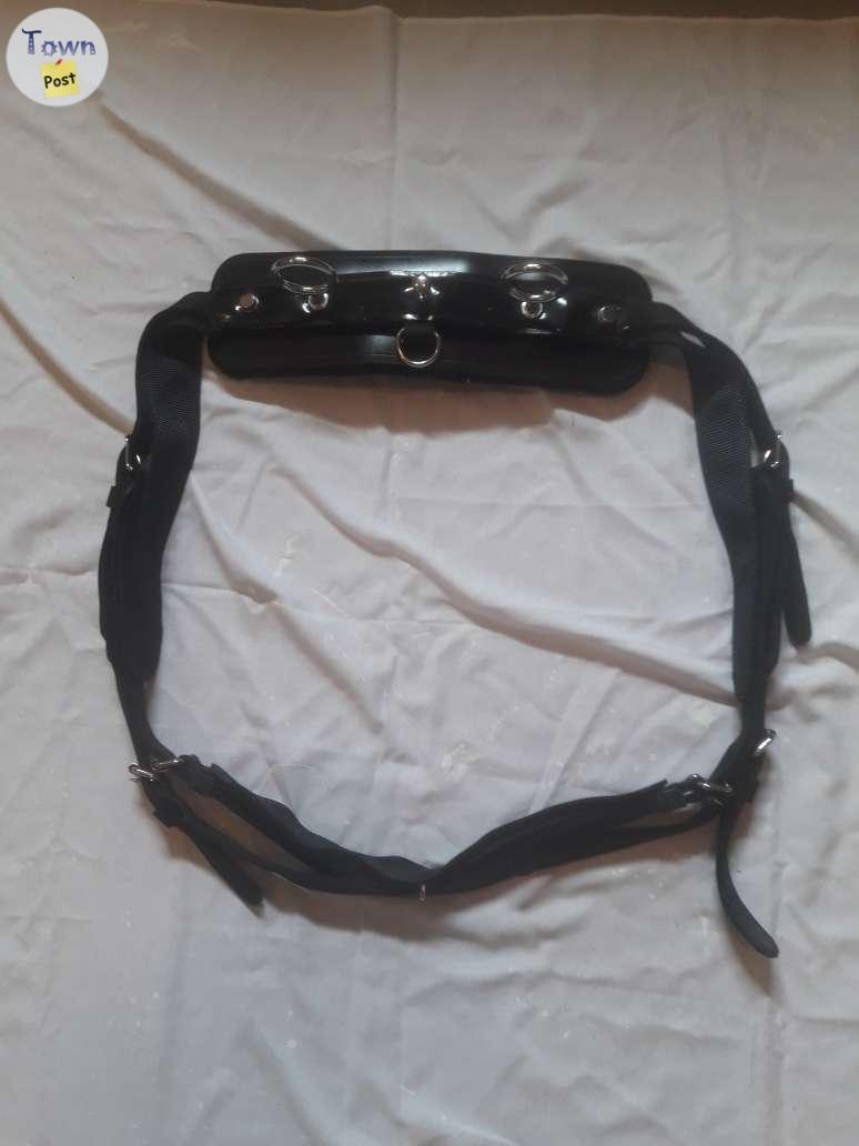 Harness  - 3 - 938641-1693515263_1