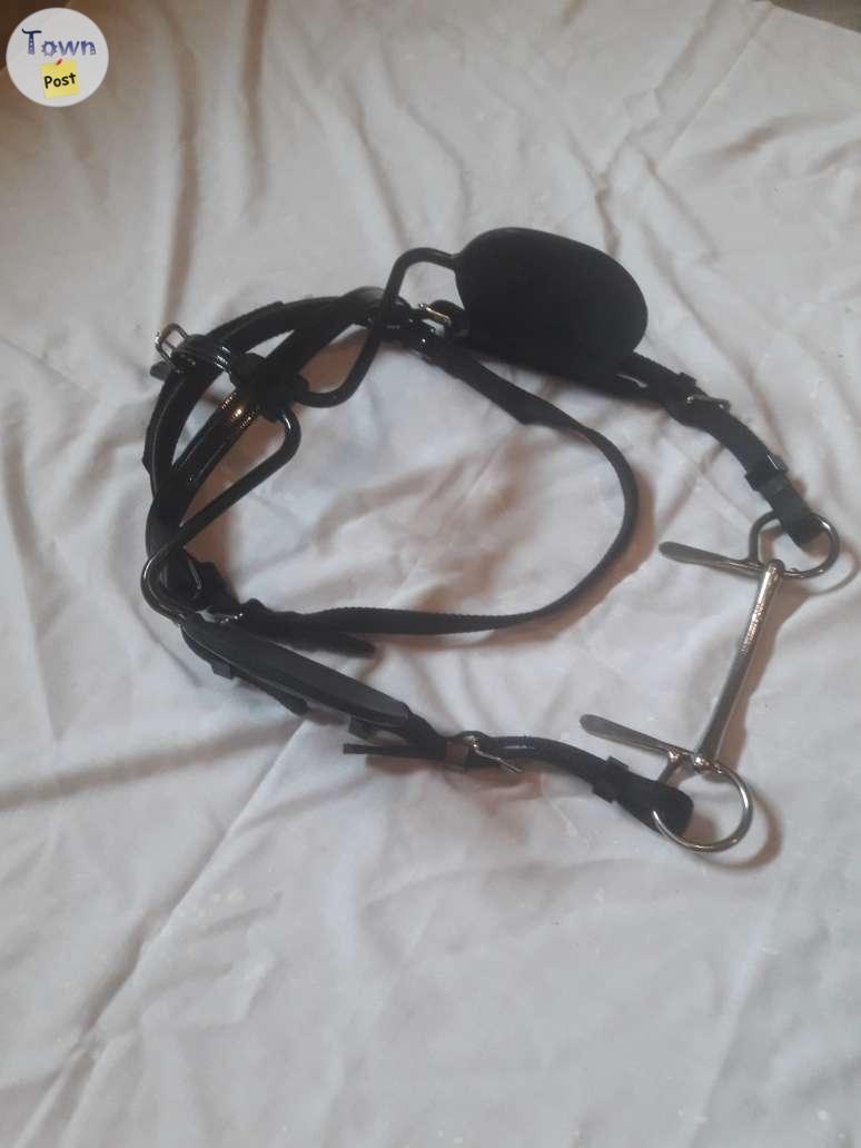 Harness  - 4 - 938641-1693515263_2