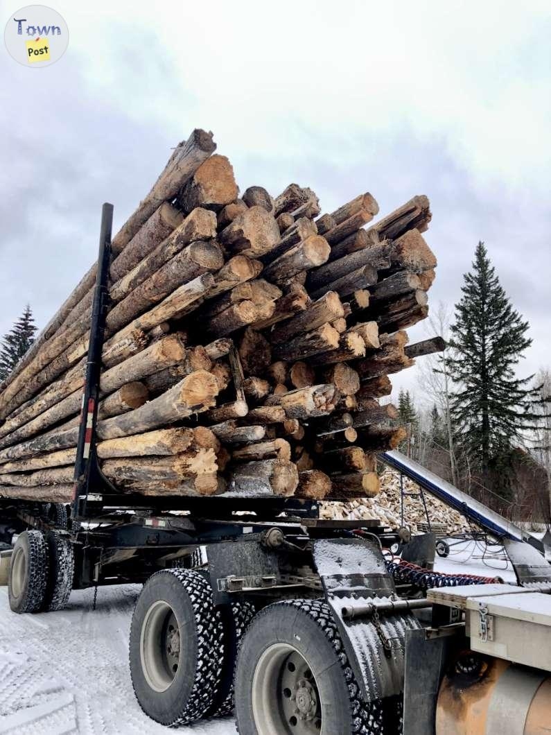 Firewood Sale  - 1 - 965241-1699236372