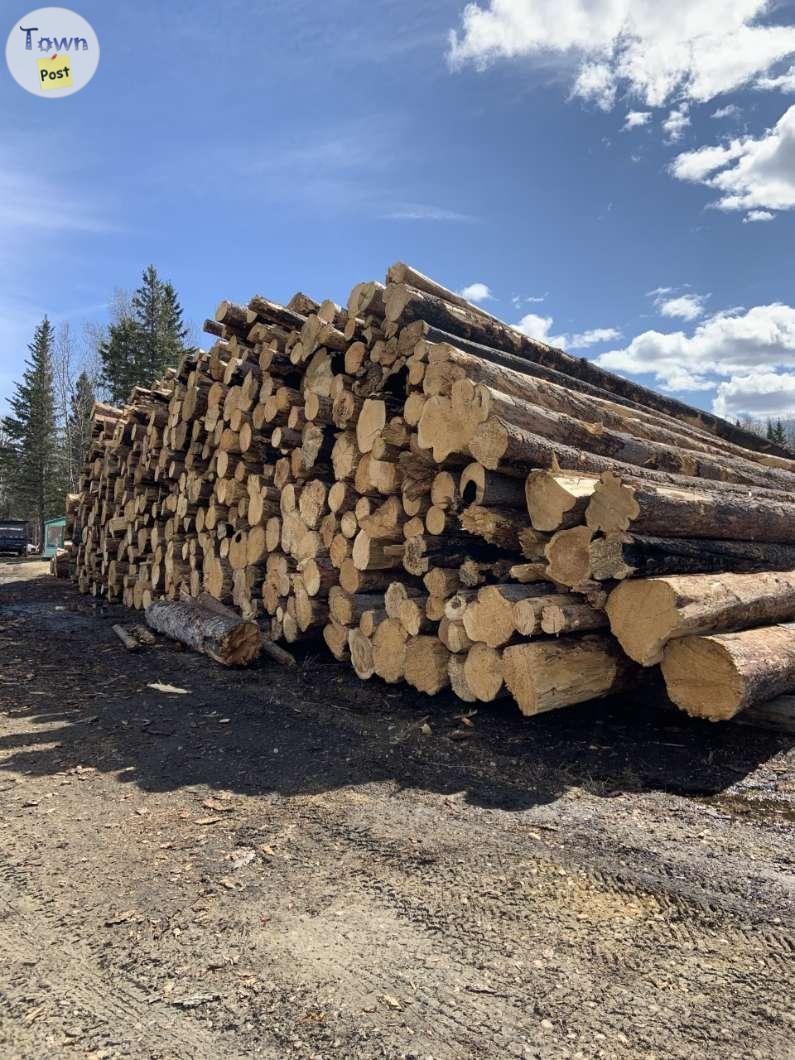 Firewood Sale  - 3 - 965241-1699236372_1