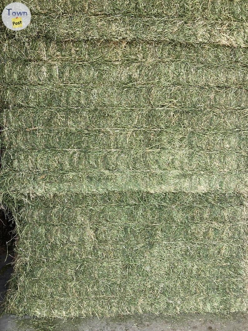 Hay for sale - 1 - 972503-1700403901