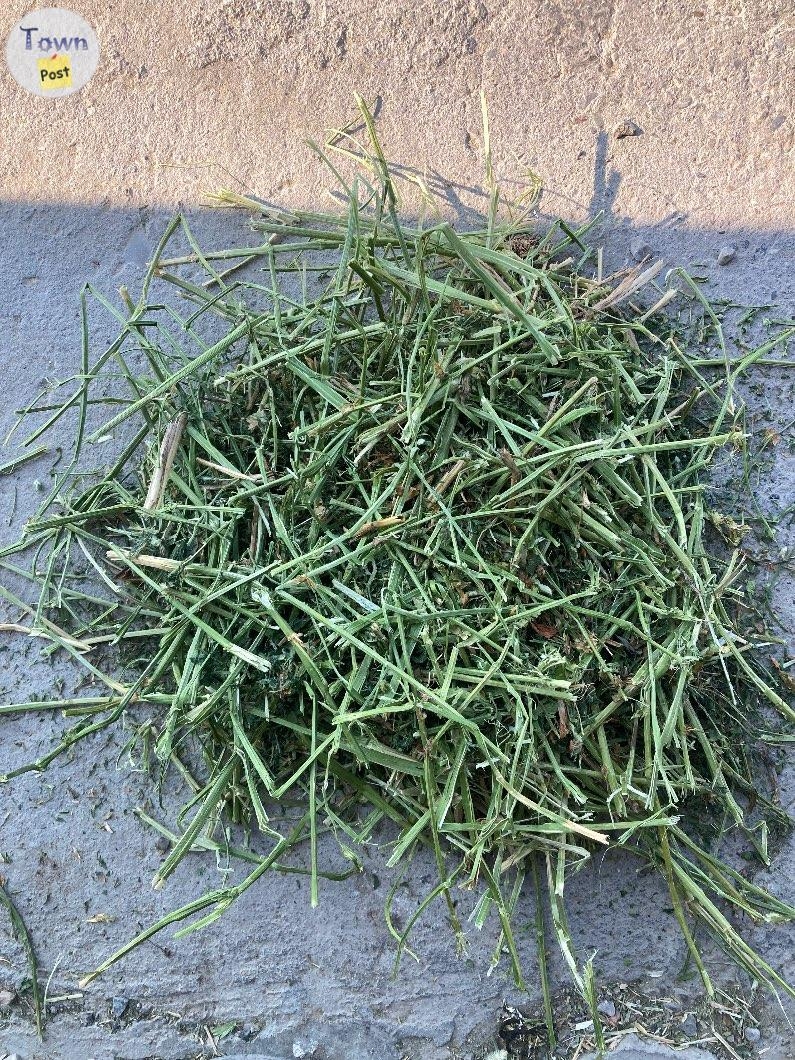 Hay for sale - 2 - 972503-1700403901_0