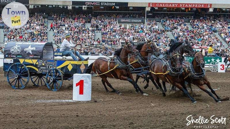 WANTED: Calgary Stampede Infield Chuckwagon Tix - 1 - 990999-1704574513