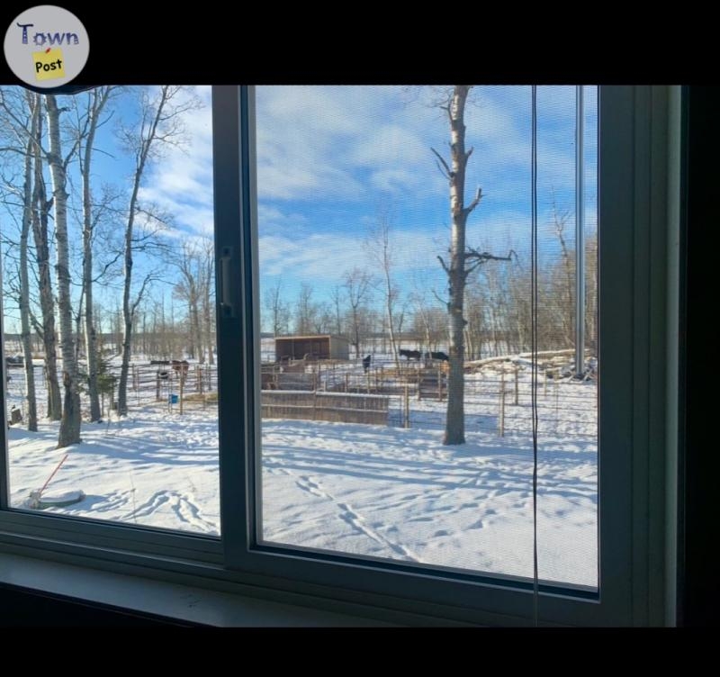 Room for rent on Acreage (in Calmar) - 6 - 998169-1706201642_3