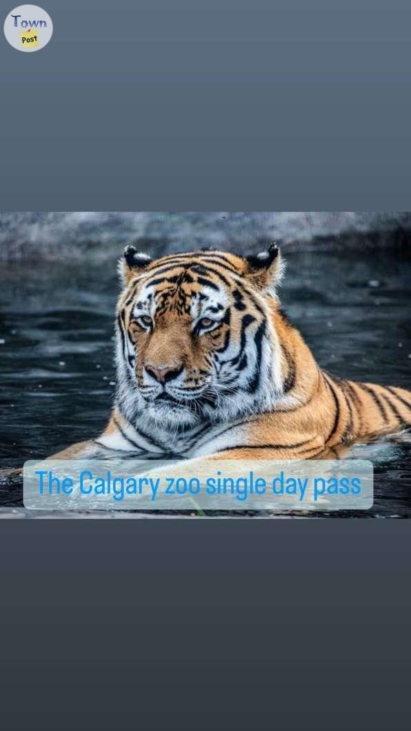 Calgary Zoo Single day Pass To sale Skip the line - 1 - 999285-1706447270