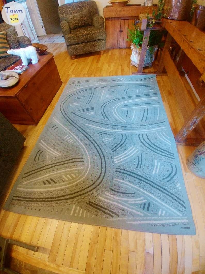 Great Condition Large Area Rug - 3 - 1014812-1709526987_1