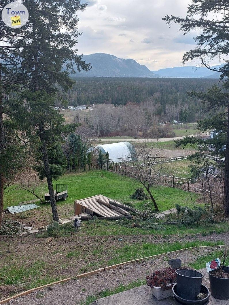 Cabin for sale in Shuswap  - 13 - 1017150-1710095218_11