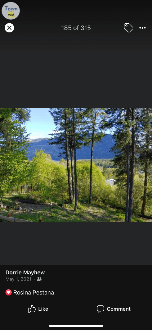 Cabin for sale in Shuswap  - 22 - 1017150-1710095218_5