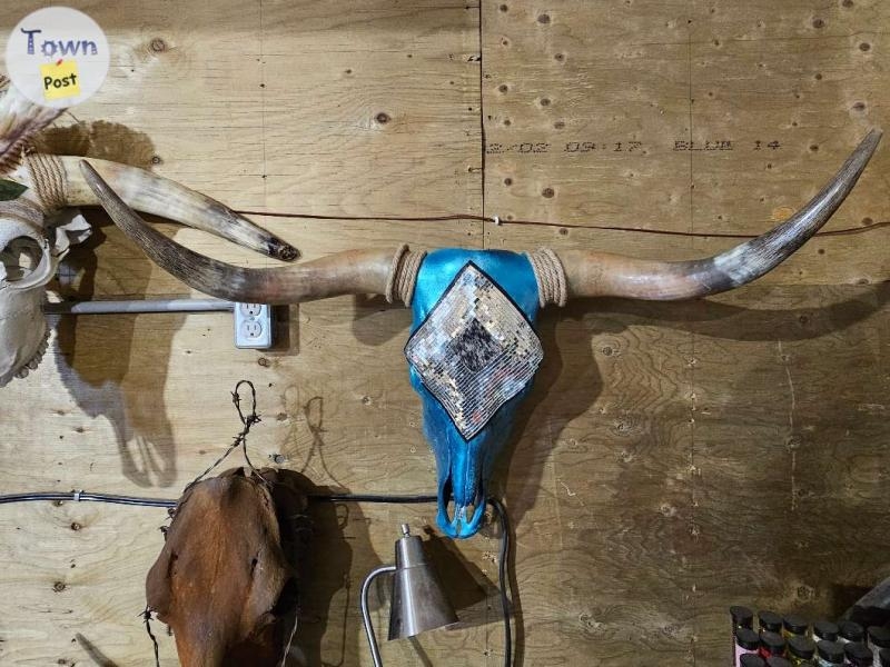 Longhorn and Cow Skull - 3 - 1021337-1711050377_1