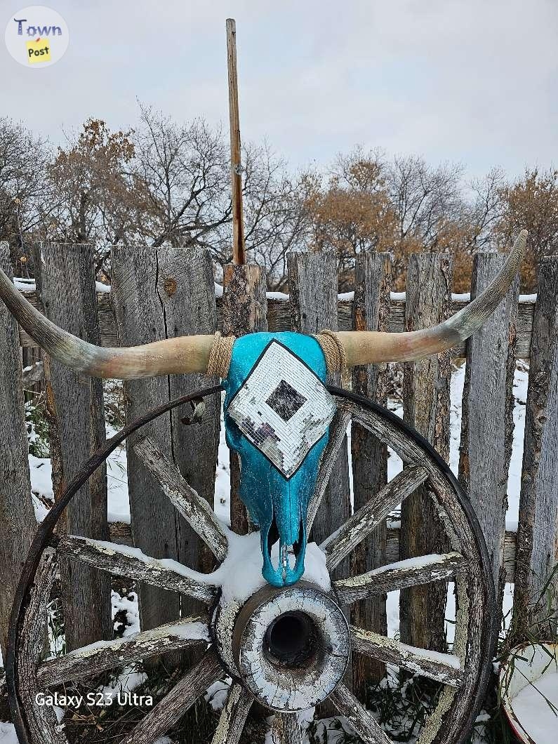 Longhorn and Cow Skull - 9 - 1021337-1711050377_7