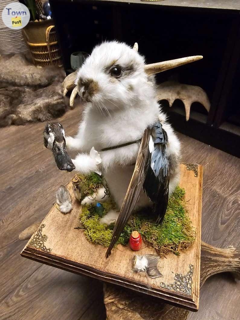 Bone-afide Beauty Taxidermy Art - 2 - 1021340-1711050606_0