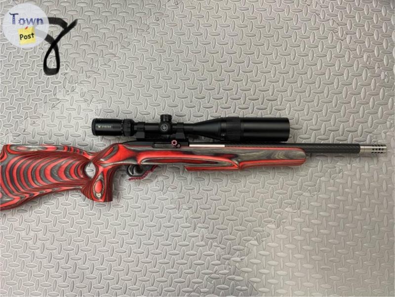 Ruger 10/22  - 1 - 1025932-1712095294