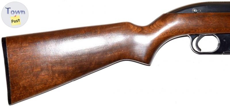 Winchester, Model 77, Cal. .22LR - 3 - 1026476-1712247838_1