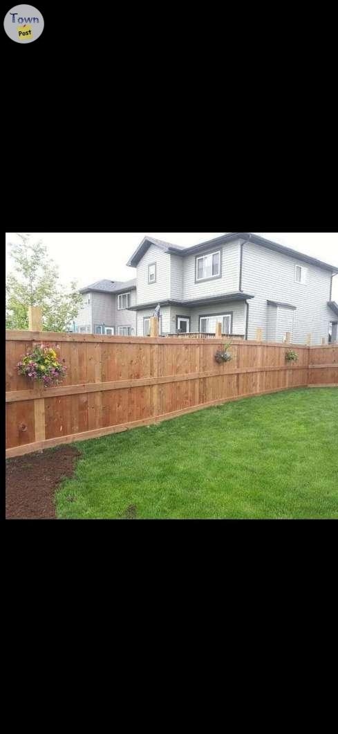 Fences,decks, privacy walls, pergolas ,gates  - 8 - 1032769-1713760911_6