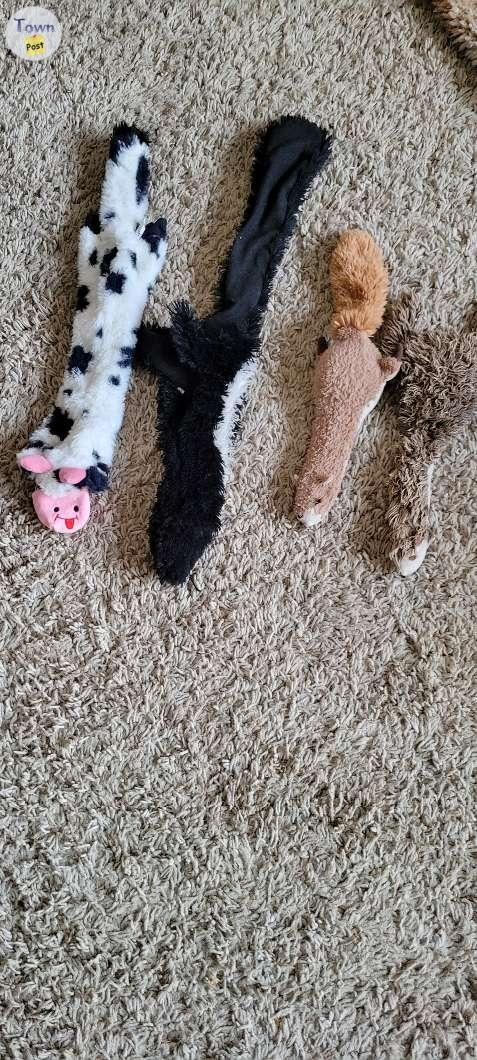 Dog toys - 1 - 1036969-1714873519