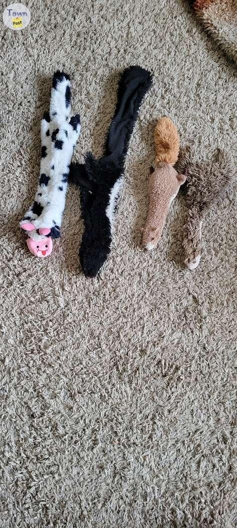 Dog toys - 2 - 1036969-1714873519_0