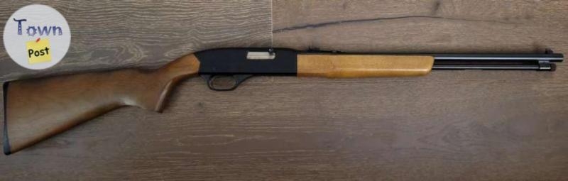 Winchester model 190 - 1 - 1041273-1715993753