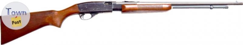 Remington, Model 572, Cal. .22 - 2 - 1044642-1716922074_0