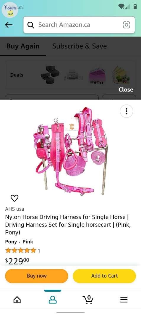 Pony harness  - 1 - 1053750-1718665340