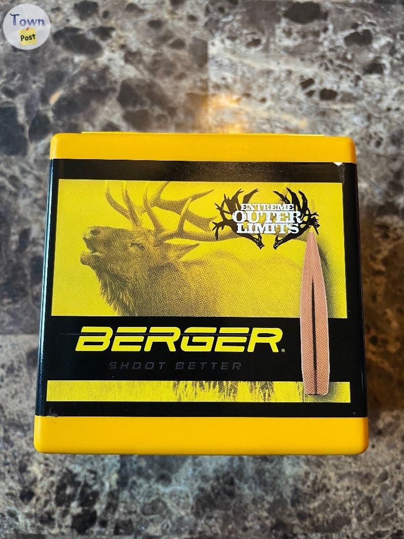 Berger bullet 245gr - 1 - 1059476-1720147247