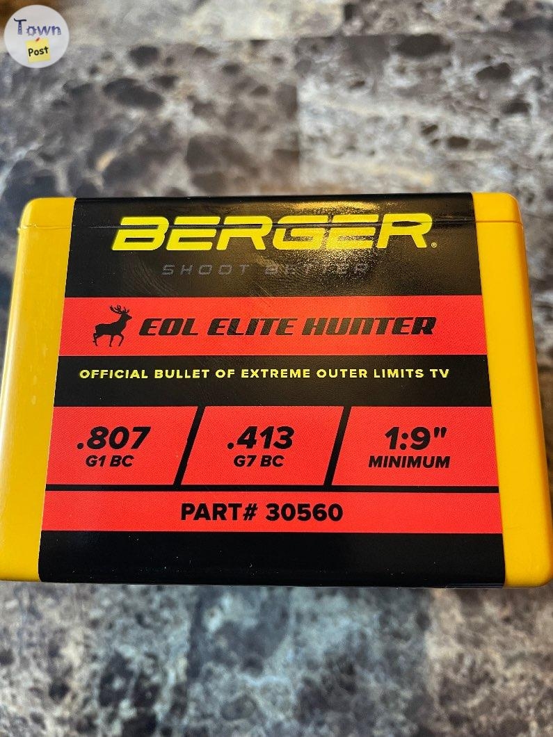 Berger bullet 245gr - 3 - 1059476-1720147247_1