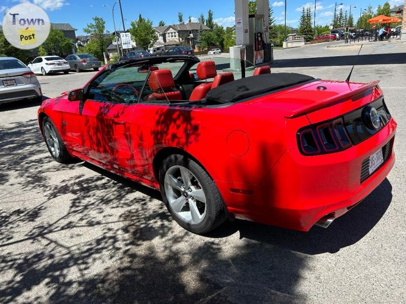 2014 Ford Mustang 2dr Conv GT 37,500 km | Calgary - 2 - 1061811-1720629038_0