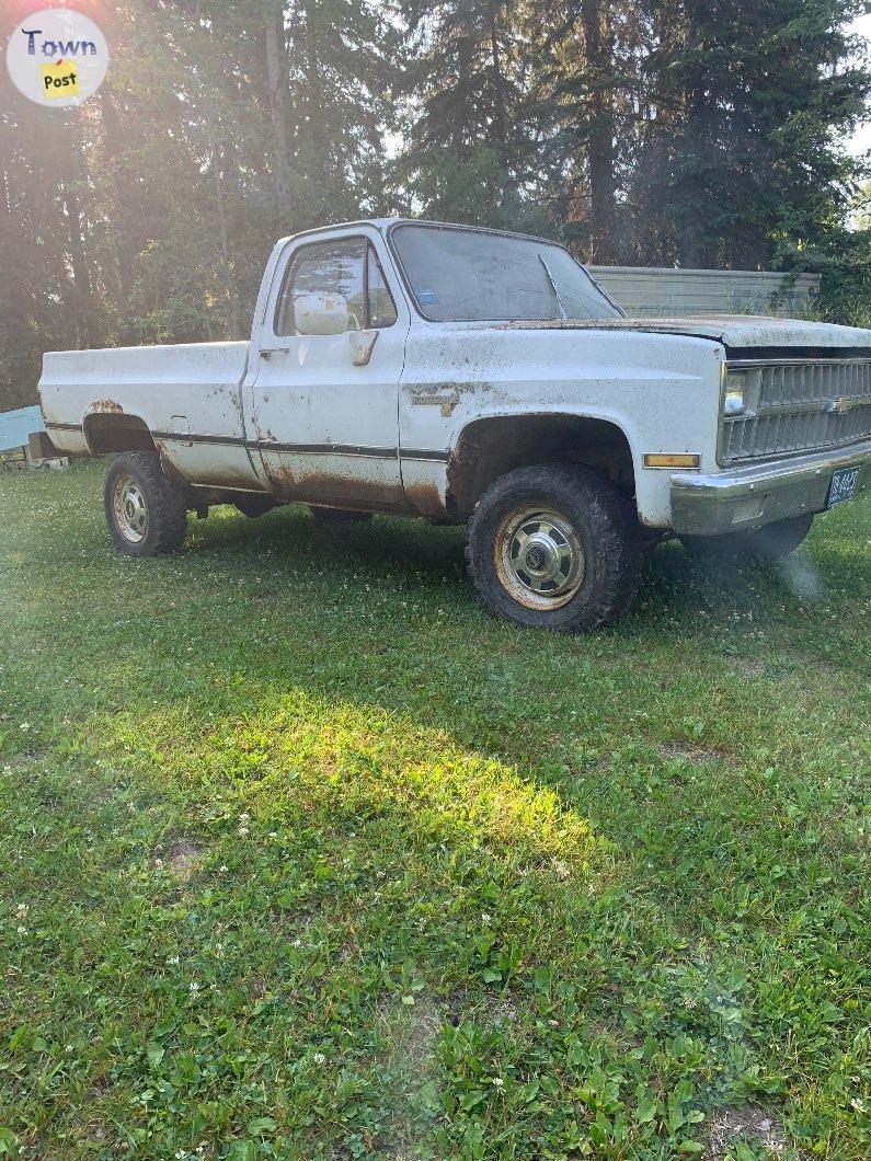 1981 chev 4x4 - 4 - 1070114-1722826618_2